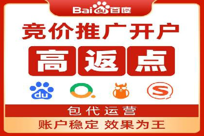 高效SEM托管公司案例对比分析